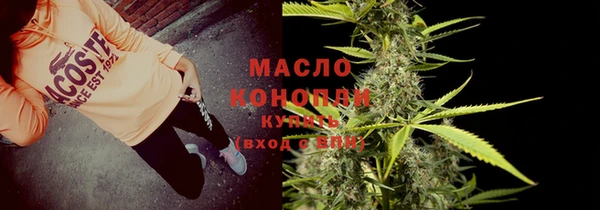 МДПВ Михайлов