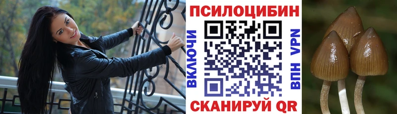 Псилоцибиновые грибы ЛСД  закладка  Орлов 